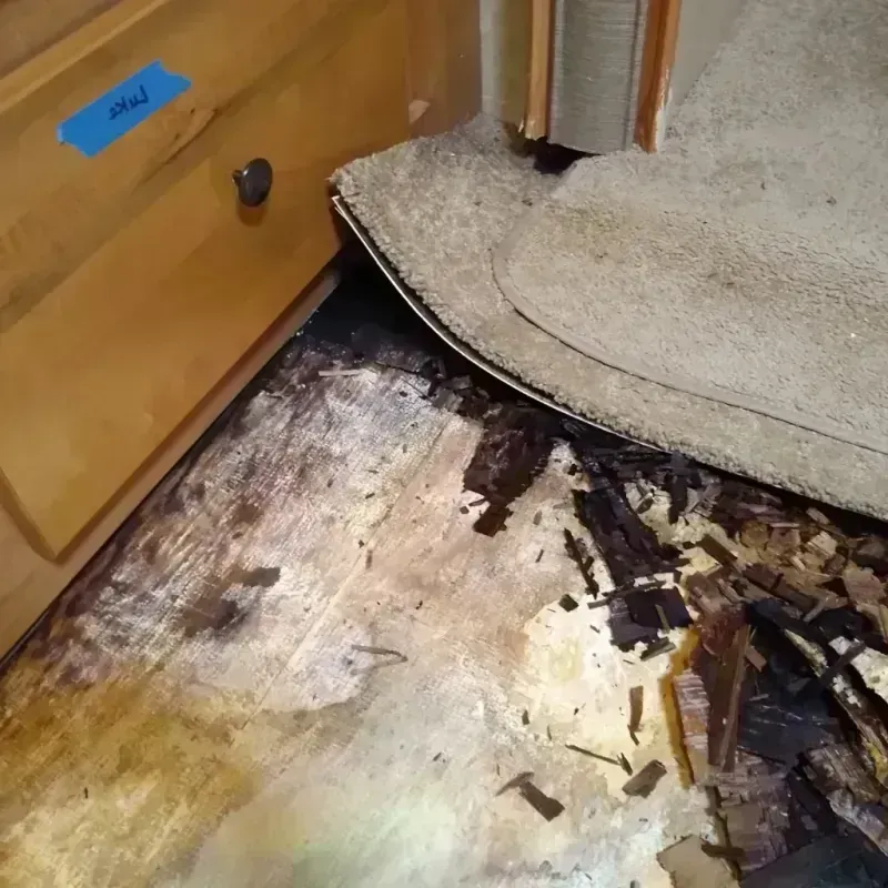 Wood Floor Water Damage in Granite County, MT